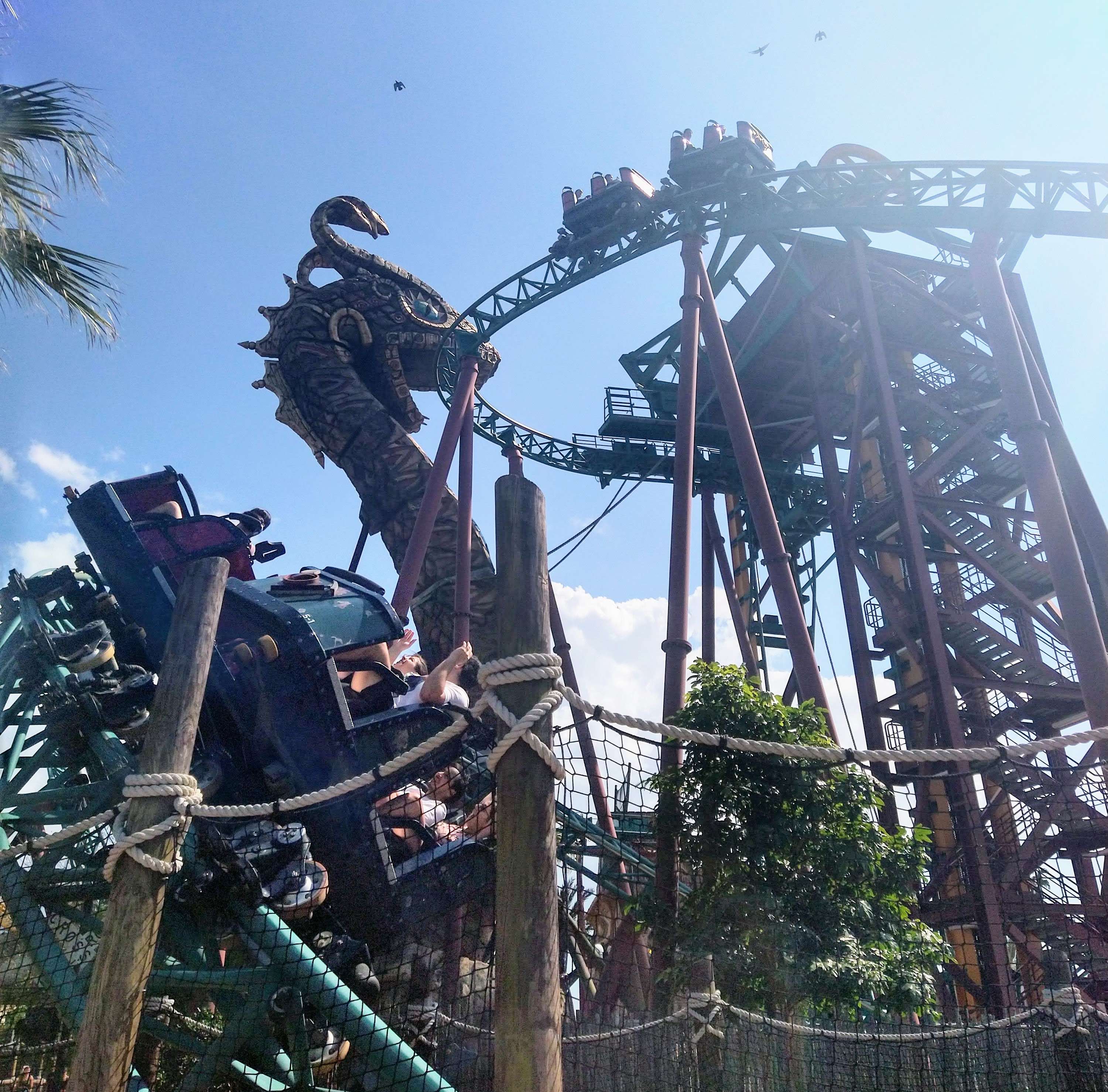 Cobra's Curse one train is coming down the first hill and another is coming around a corner right next to the camera