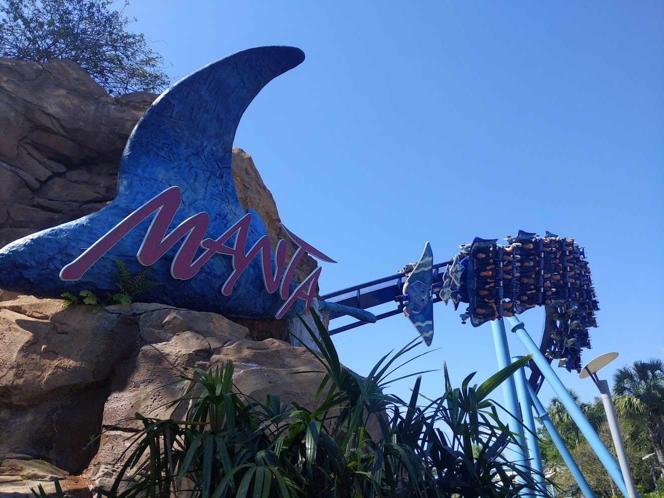 Manta's sign, a coaster train is coming around a bend in line with the sign.